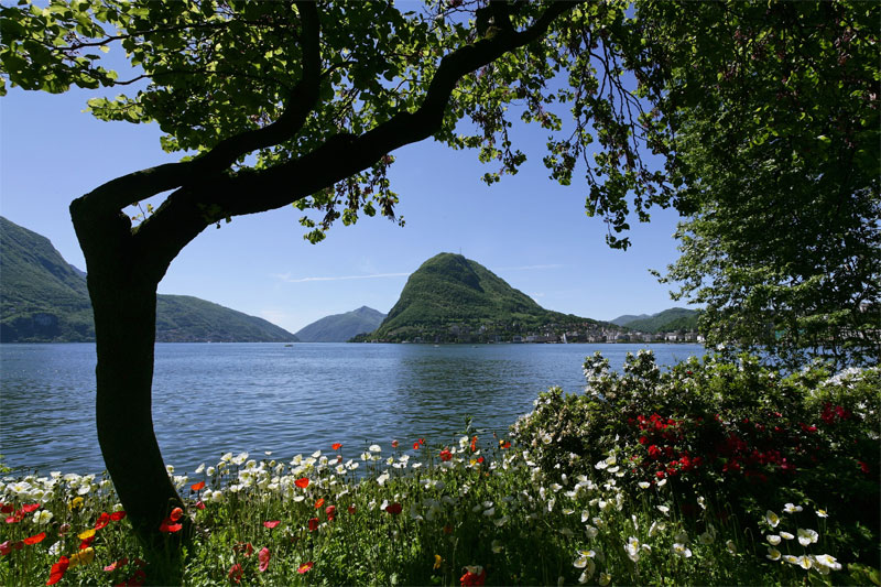 Lugano lakeside